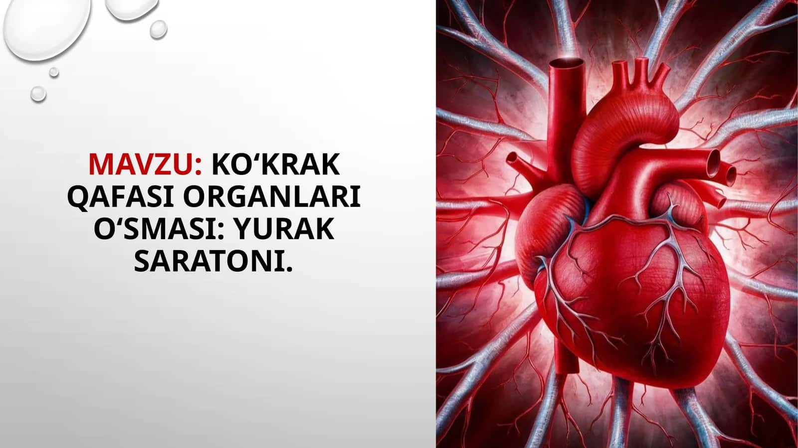 Ko‘krak qafasi organlari o‘smasi: yurak saratoni