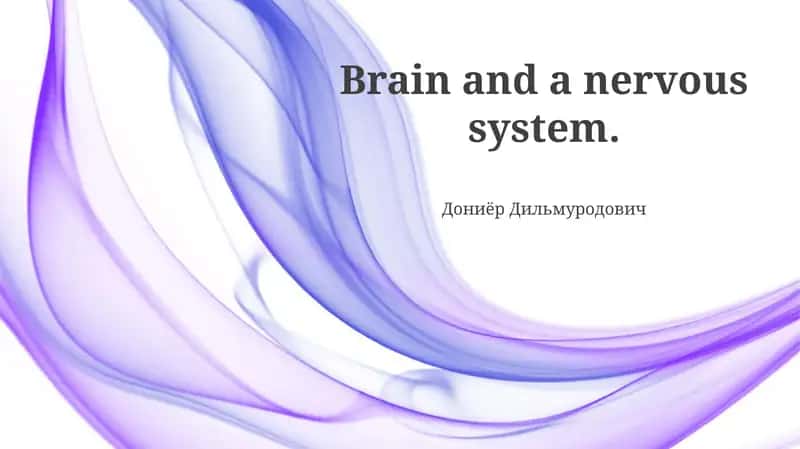 The Brain: A Control Center