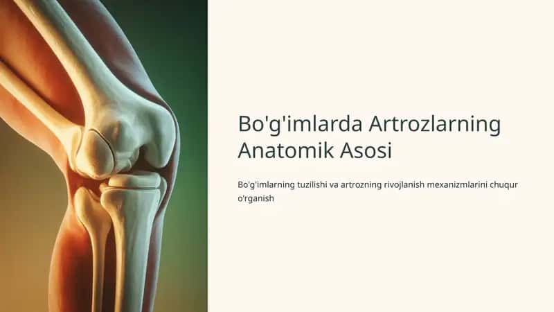 Bo'g'imlarda Artrozlarning Anatomik Asosi