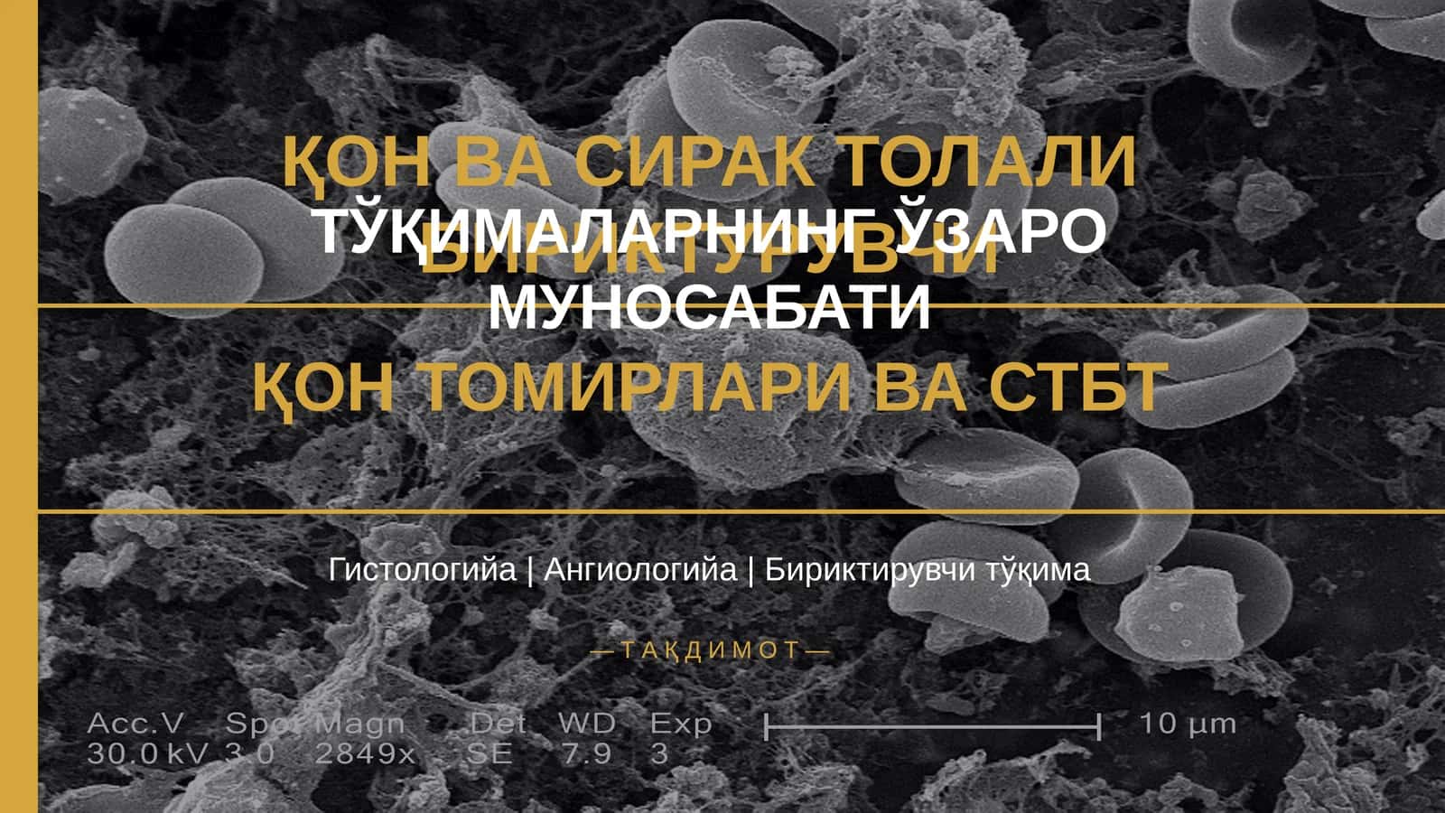 ҚОН ВА СИРАК ТОЛАЛИ БИРИКТУРУВЧИ