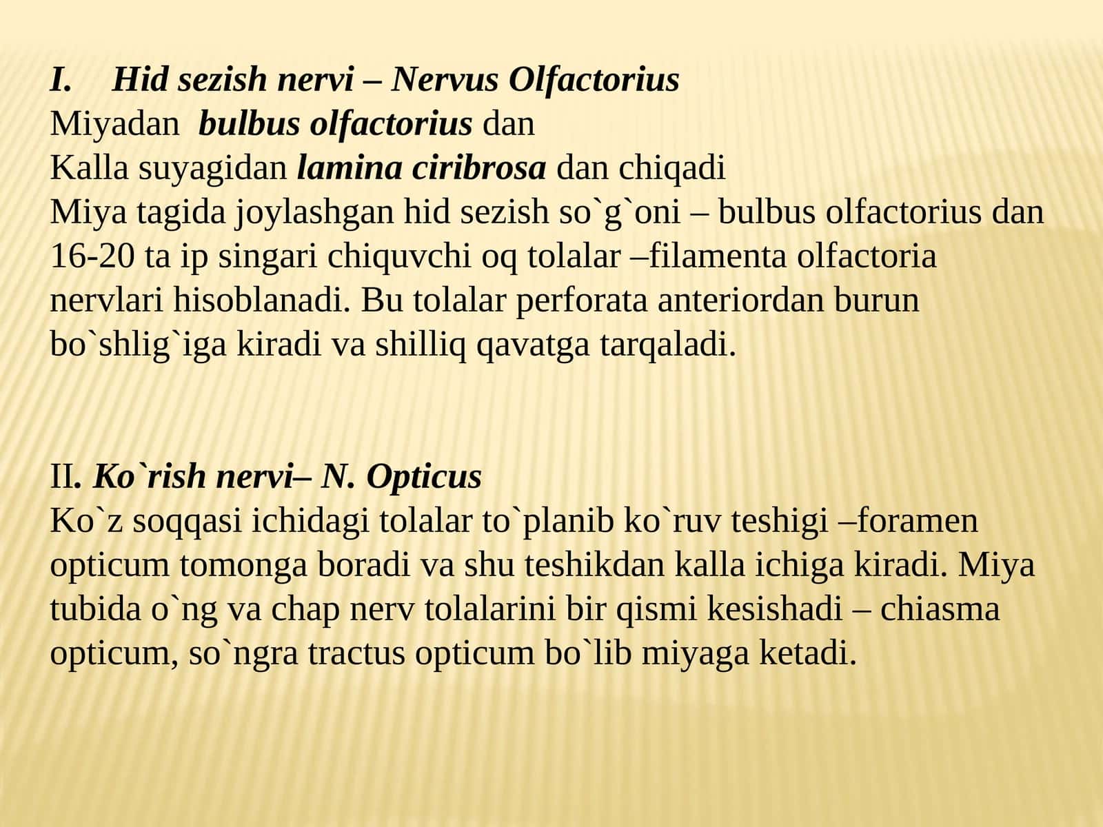 Nervus Olfactorius
