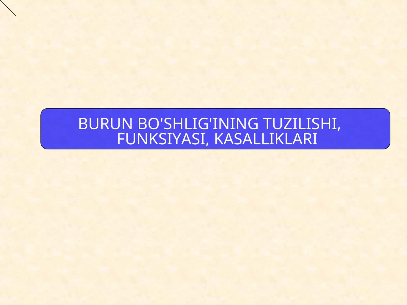 BURUN BO'SHLIG'INING TUZILISHI, FUNKSIYASI, KASALLIKLARI