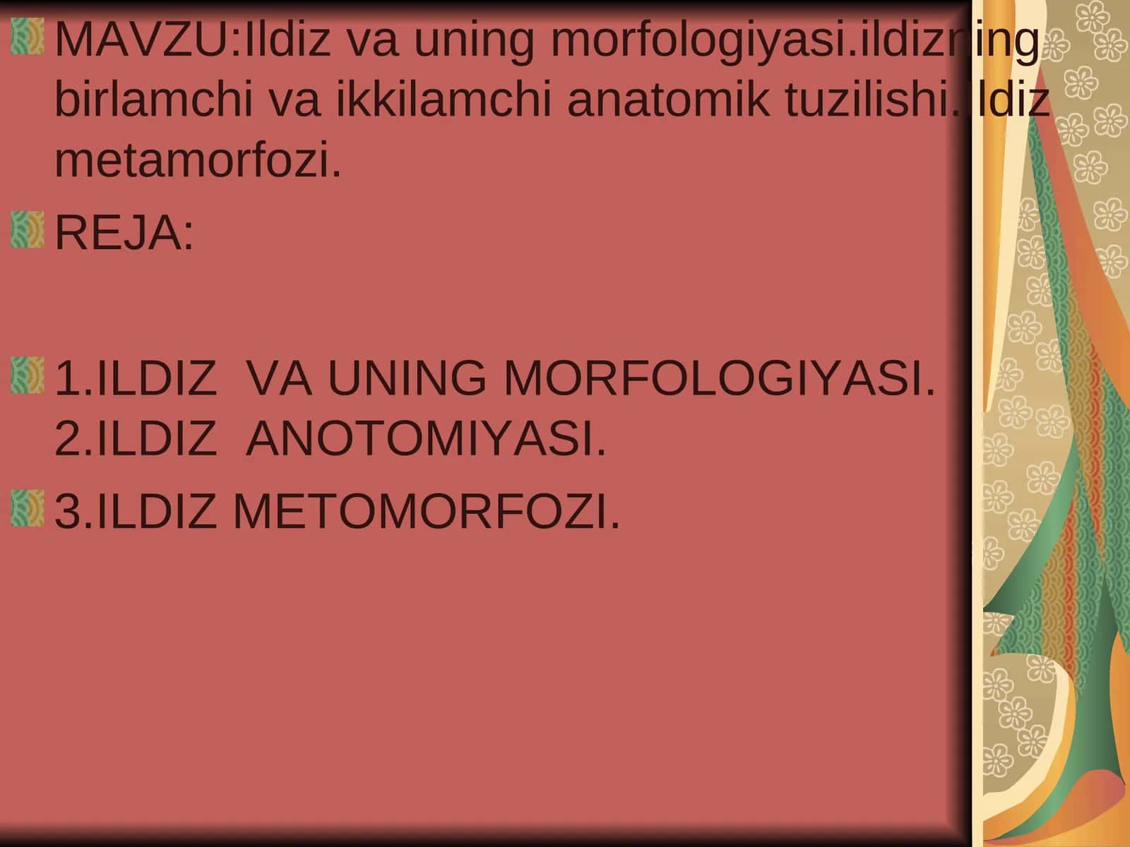 Ildiz va uning morfologiyasi