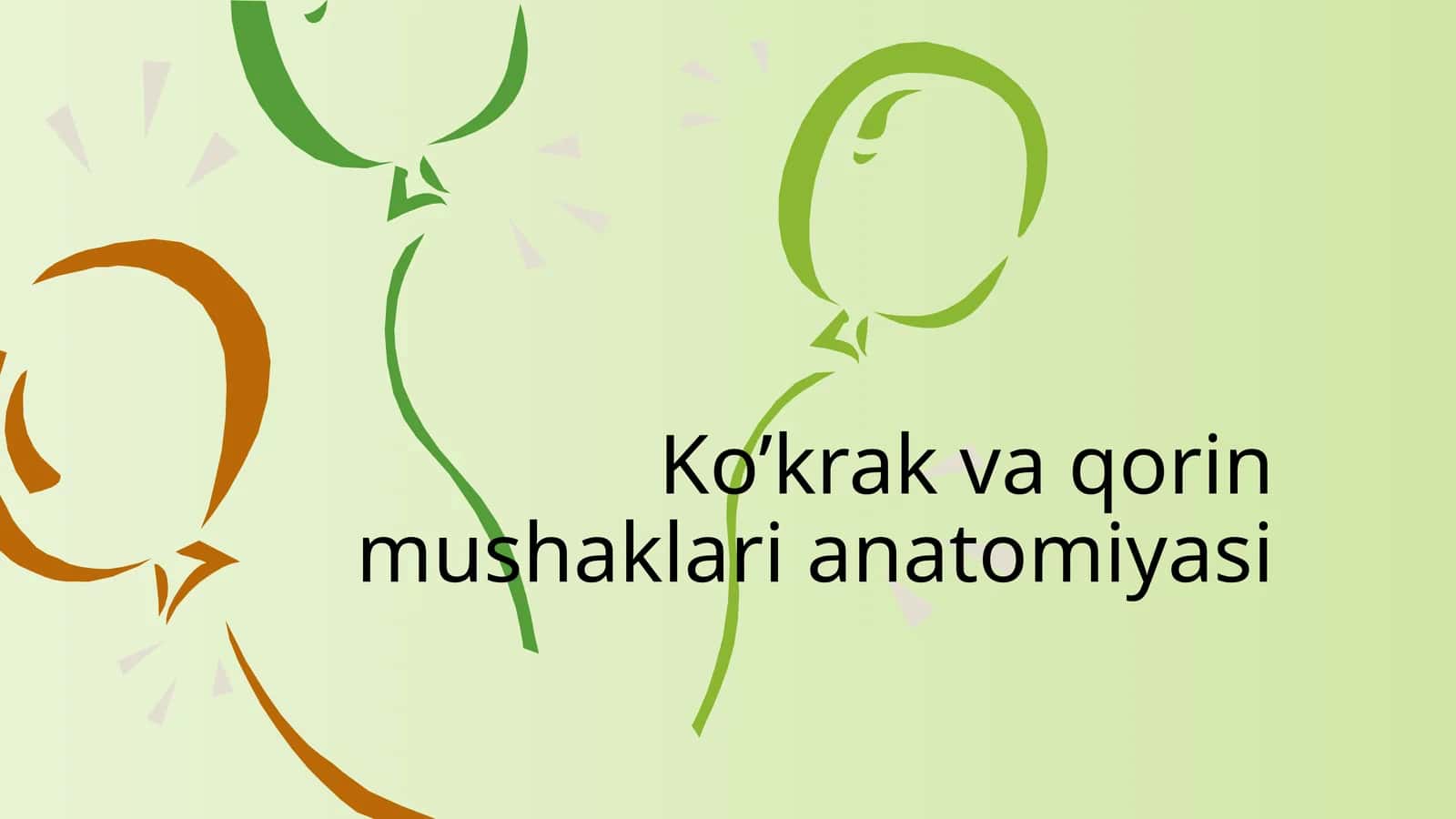 Ko’krak vaqorin mushaklari anatomiyasi