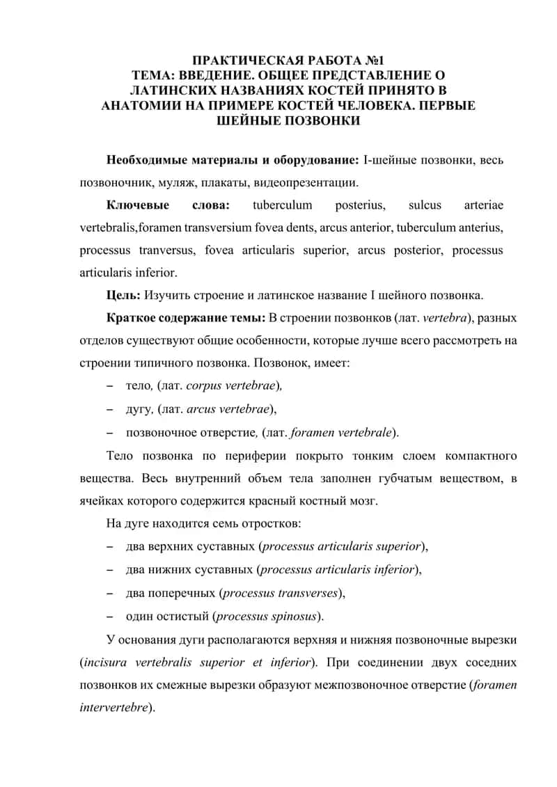 ВВЕДЕНИЕ. ОБЩЕЕ ПРЕДСТАВЛЕНИЕ О ЛАТИНСКИХ НАЗВАНИЯХ КОСТЕЙ ПРИНЯТО В АНАТОМИИ НА ПРИМЕРЕ КОСТЕЙ ЧЕЛОВЕКА. ПЕРВЫЕ ШЕЙНЫЕ ПОЗВОНКИ