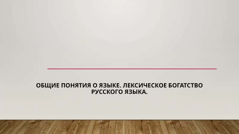Общие понятия о языке. Лексическое богатство русского языка.