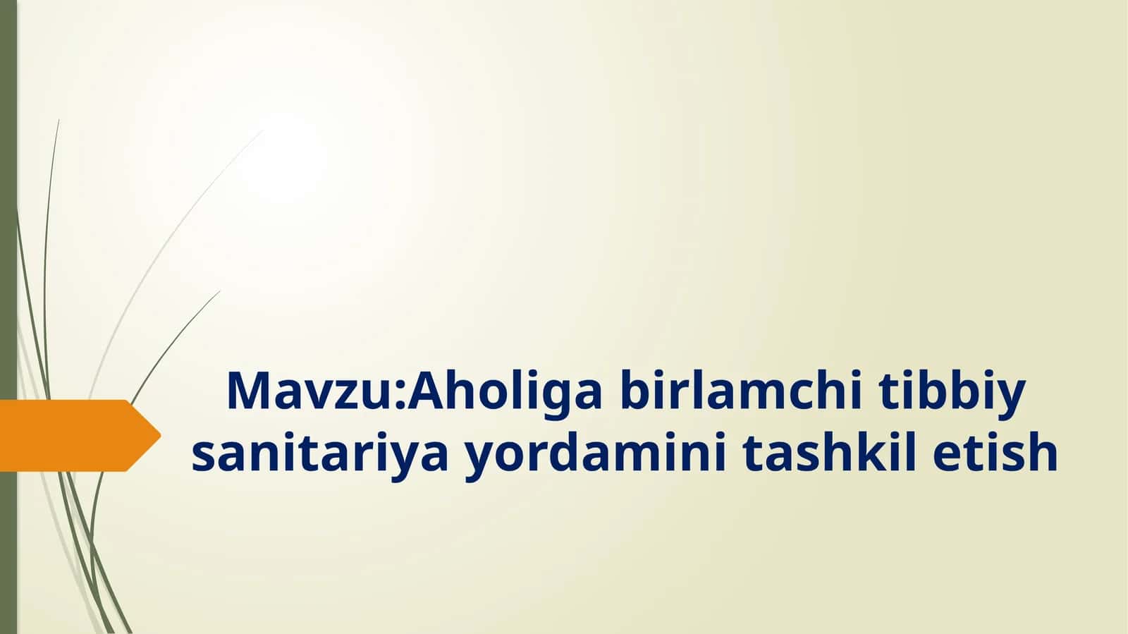 Aholigabirlamchitibbiysanitariyayordaminitashkiletish