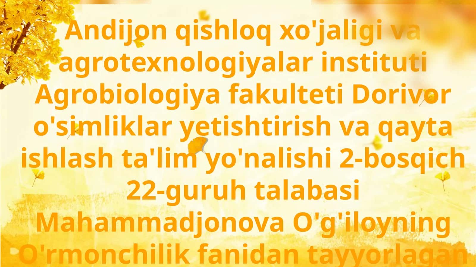 O'rmonning gidrologik ahamiyati