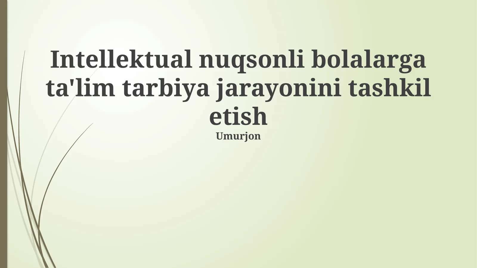 Intellektual nuqsonli bolalarga ta'lim tarbiya jarayonini tashkil etish