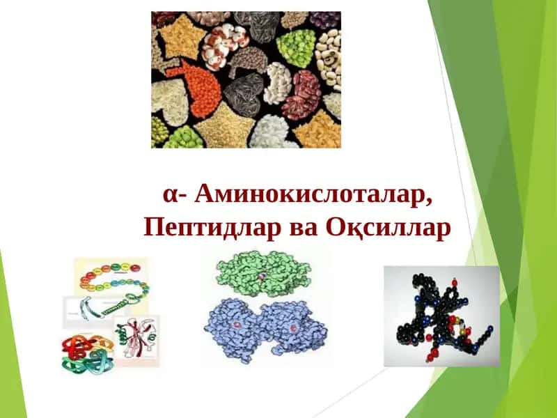 α- Аминокислоталар, Пептидлар ва Oқсиллар