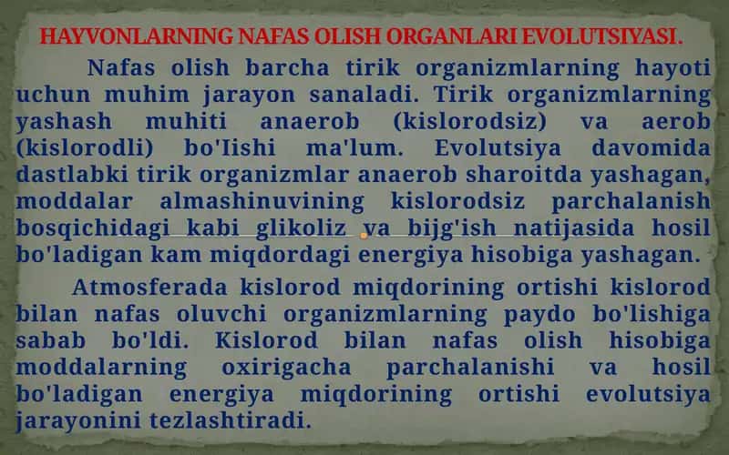 HAYVONLARNING NAFAS OLISH ORGANLARI EVOLUTSIYASI