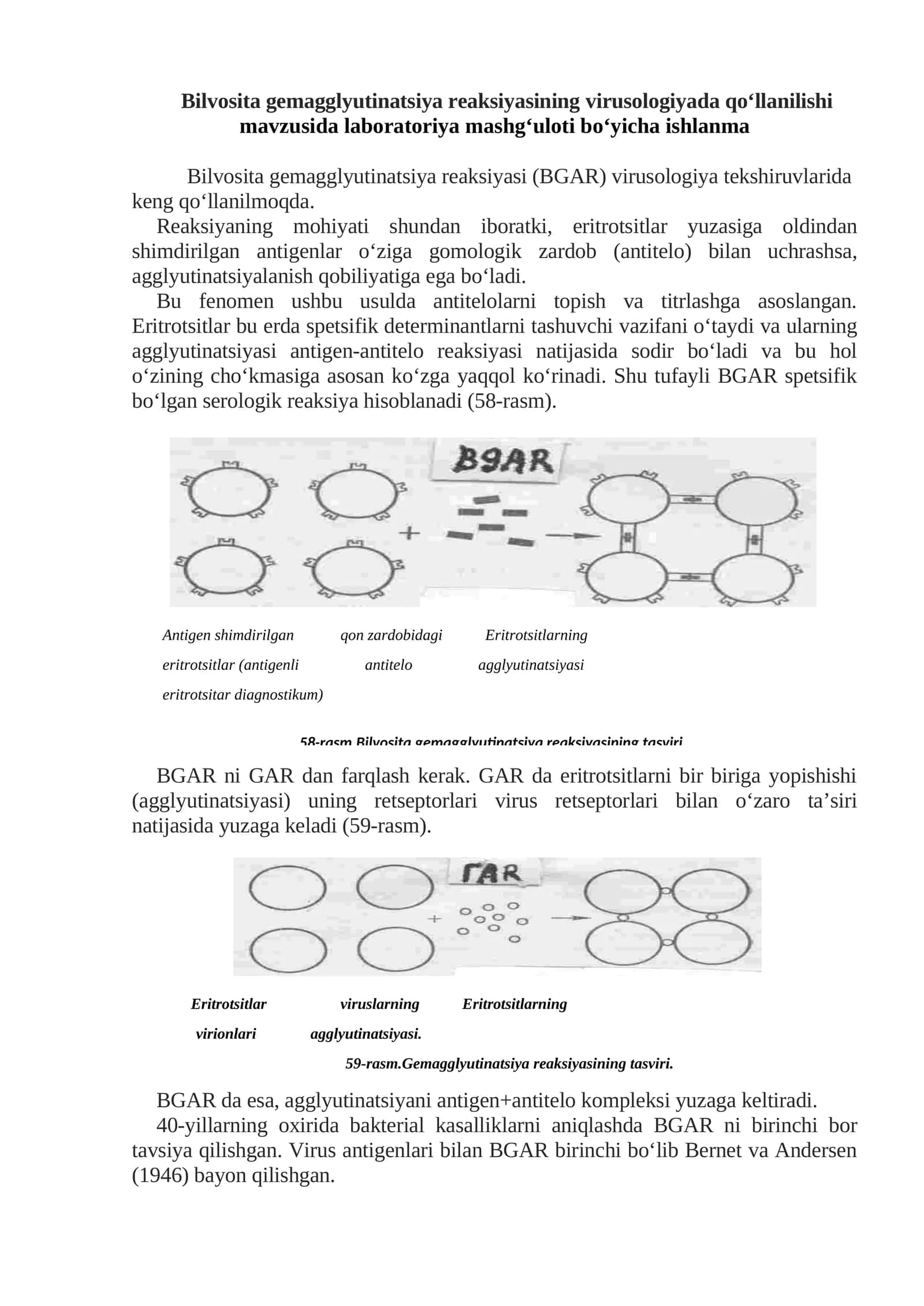 Bilvosita gemagglyutinatsiya reaksiyasi laboratoriya mashg'uloti