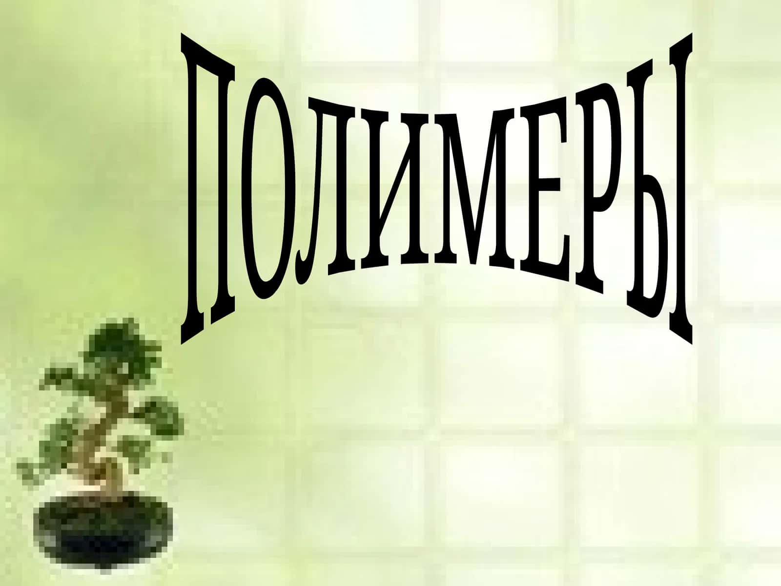 ПОЛИМЕРЫ