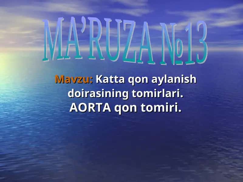 katta qon aylanish sistemasi.