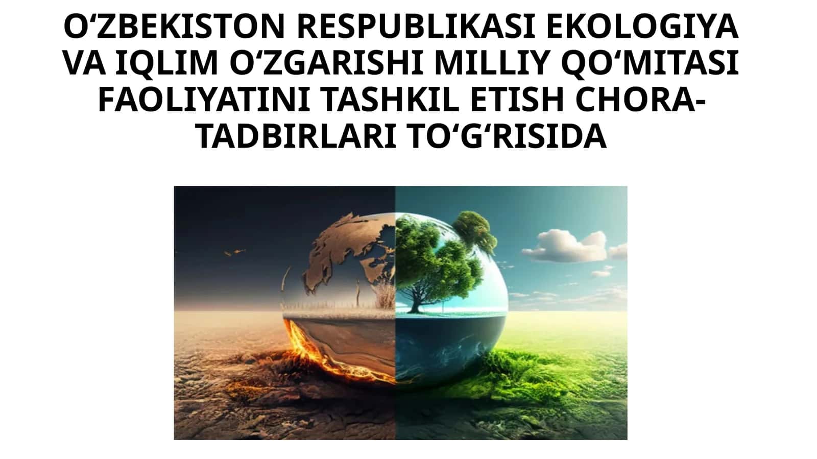 Oʻzbekiston Respublikasi Ekologiya va iqlimoʻzgarishi milliy qoʻmitasi faoliyati