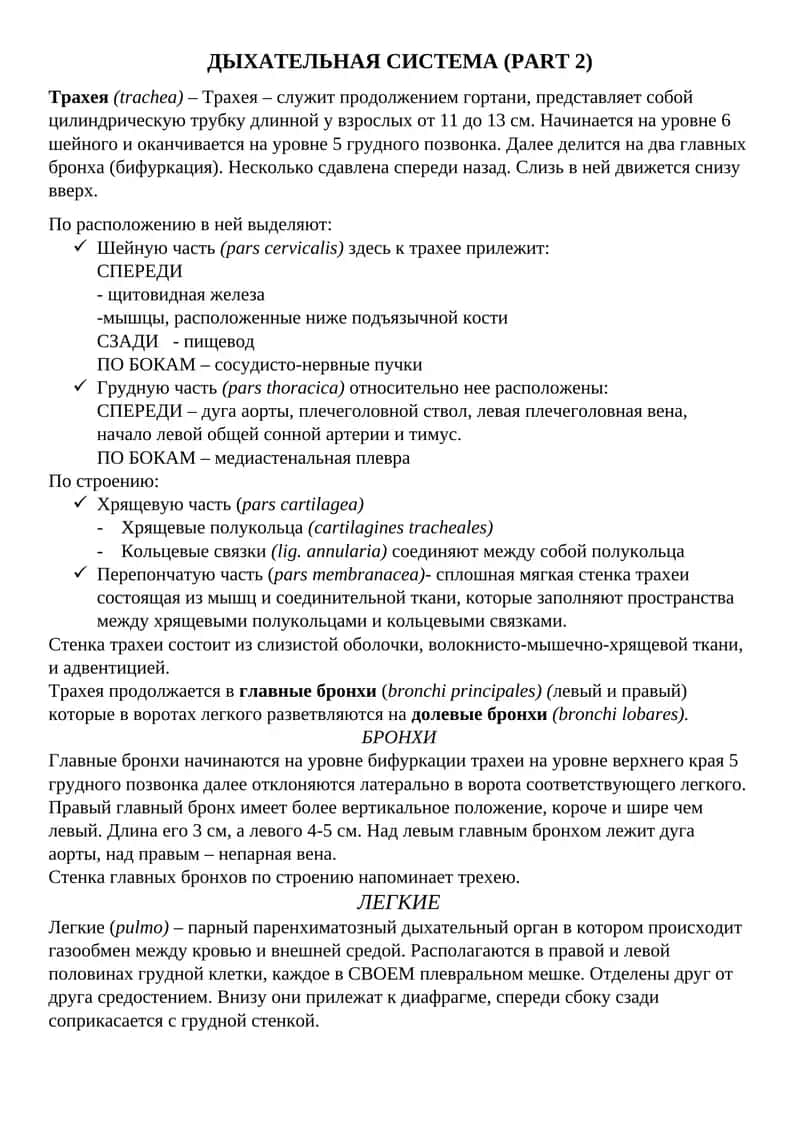 ДЫХАТЕЛЬНАЯ СИСТЕМА (PART 2)