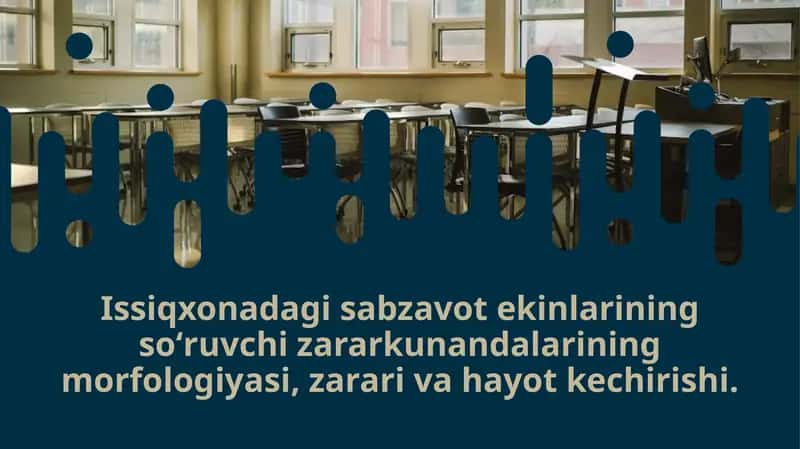 Issiqxonadagi sabzavot ekinlarining so‘ruvchi zararkunandalarining morfologiyasi