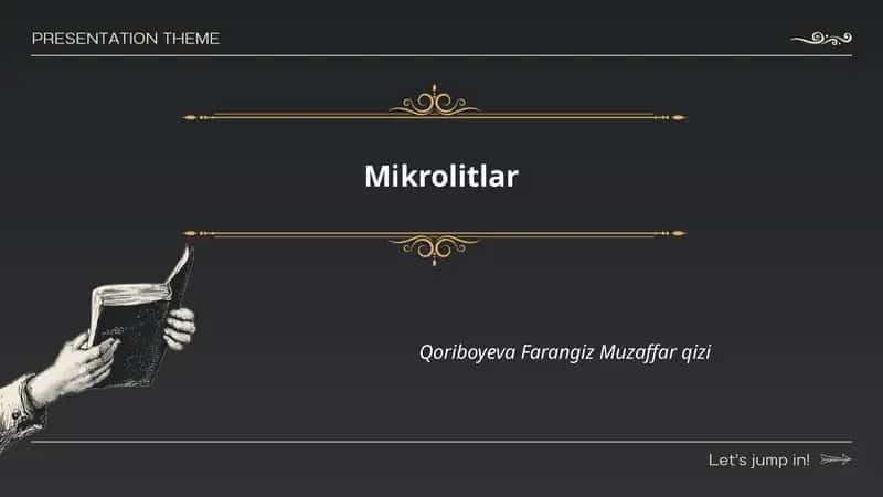Mikrolitlar