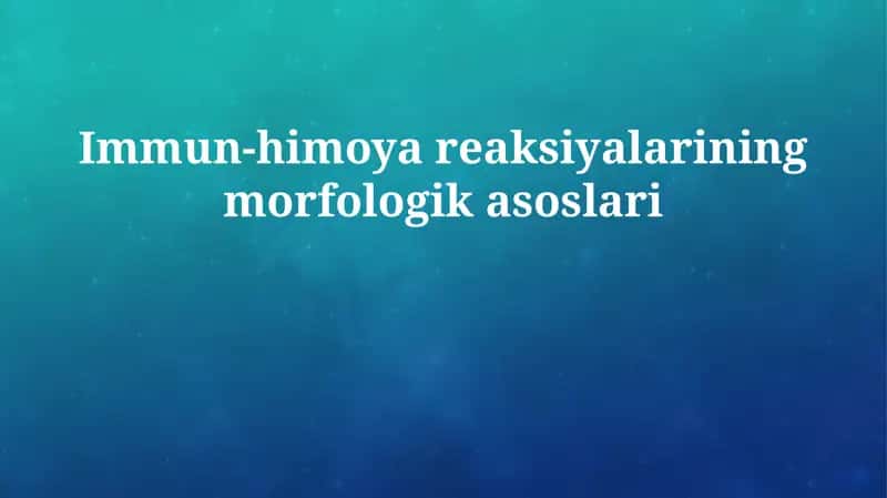 Immun-himoya reaksiyalarining morfologik asoslari