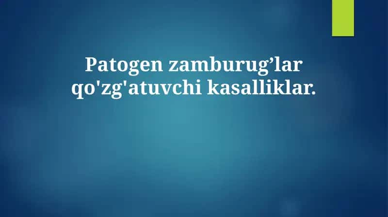 Zamburug'li patogenlar