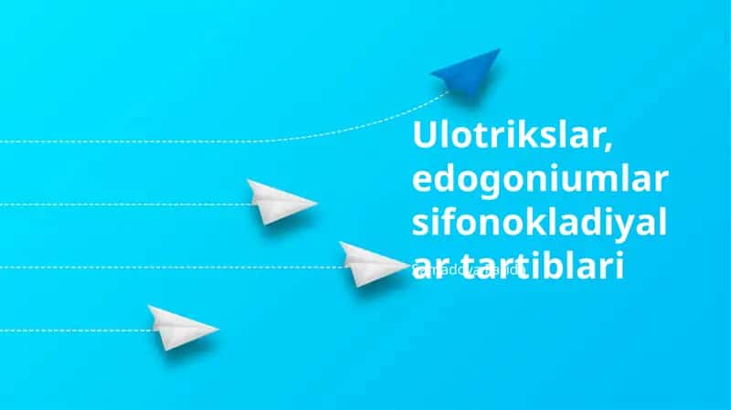 Ulotrikslar, edogoniumlar sifonokladiyalar tartiblari
