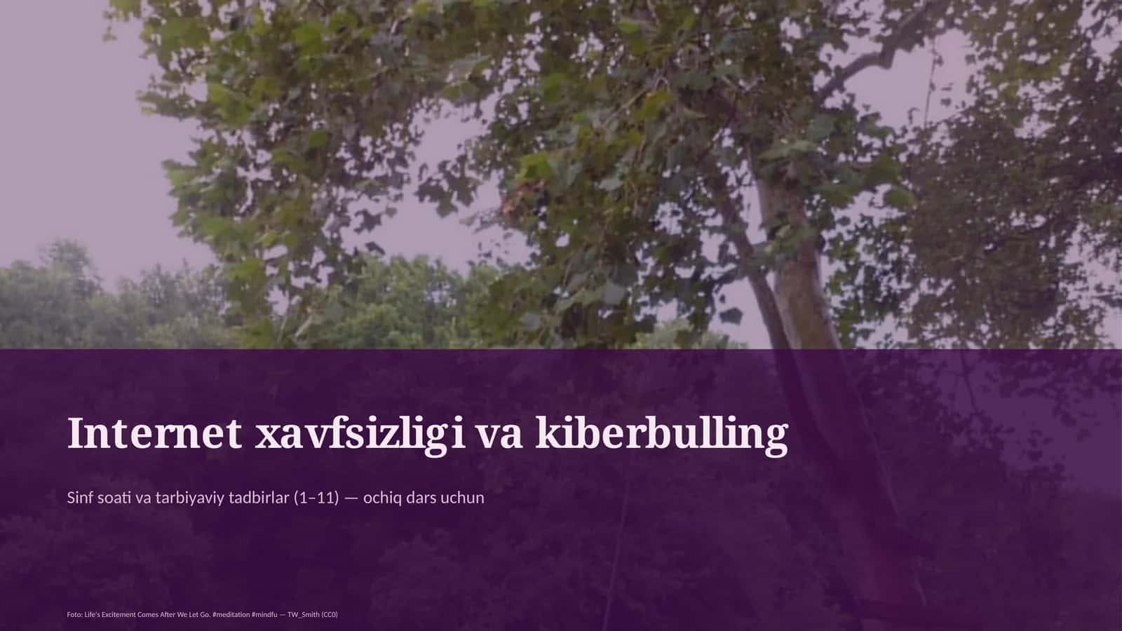 Internet xavfsizligi va kiberbulling