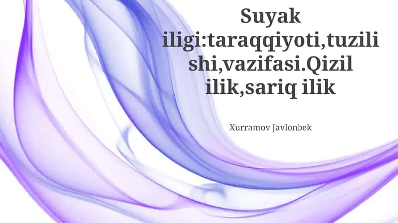 Qizil suyak ko'migining funktsiyalari