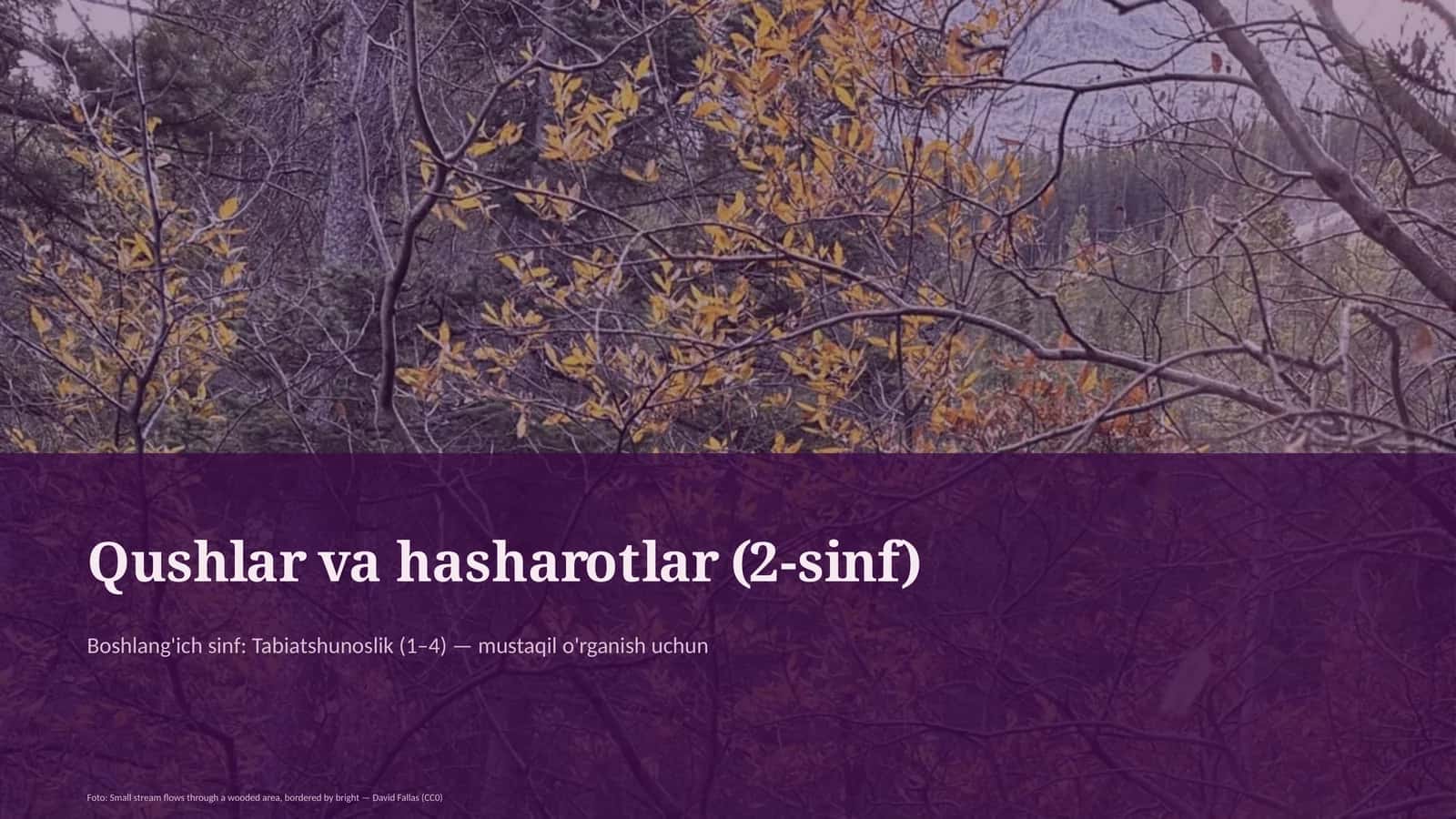 Qushlar va hasharotlar (2-sinf)