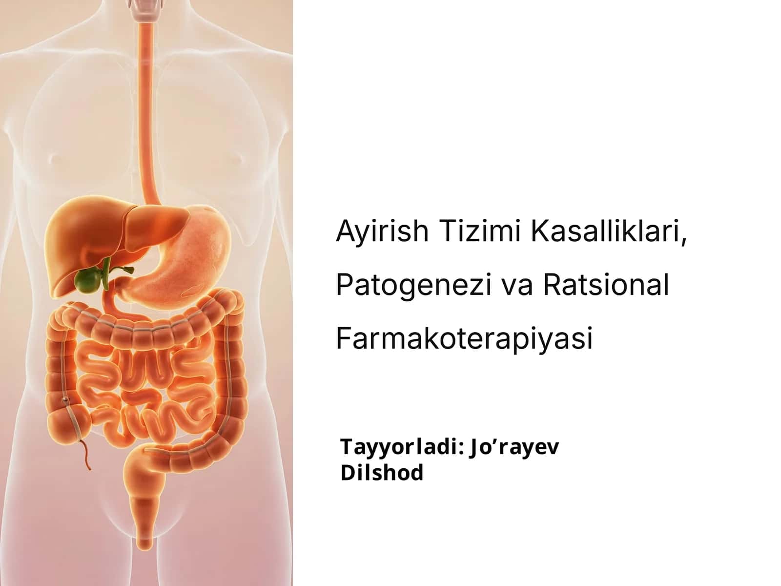 Ayirish Tizimi Kasalliklari, Patogenezi va Ratsional Farmakoterapiyasi