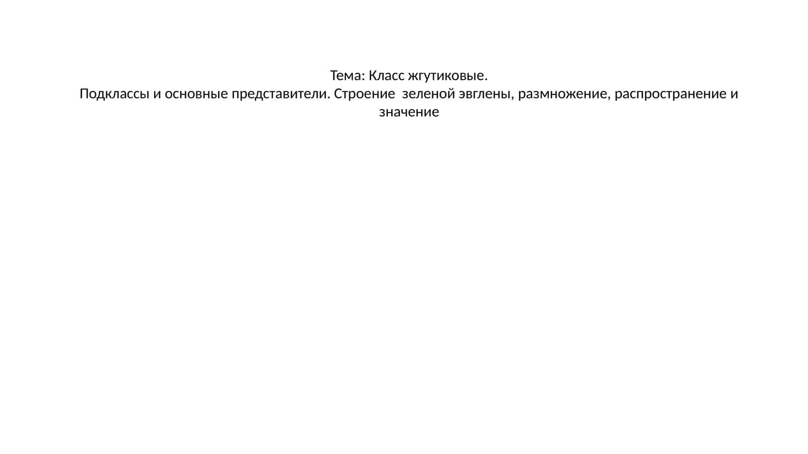 Класс жгутиковые