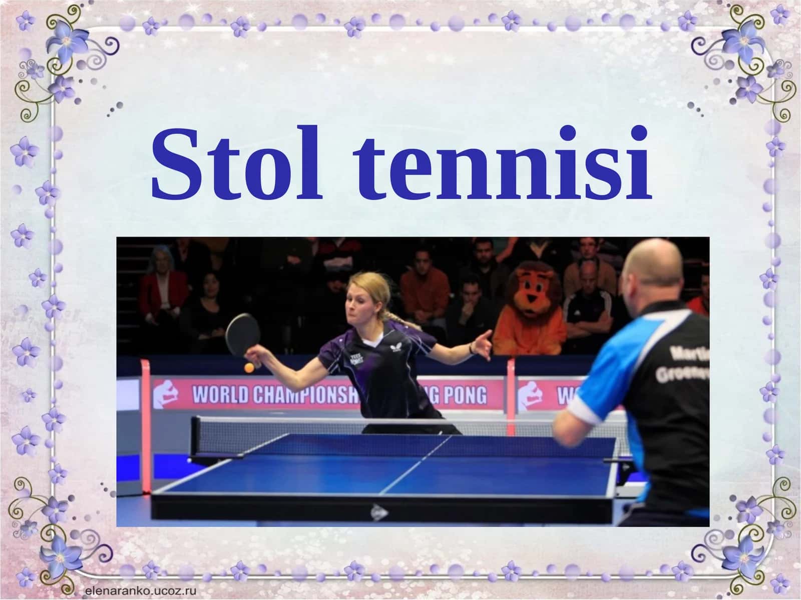 Stoltennisi