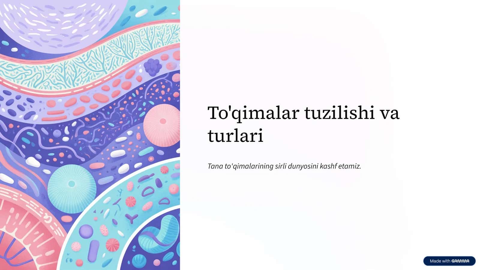 To'qimalar tuzilishi va turlari