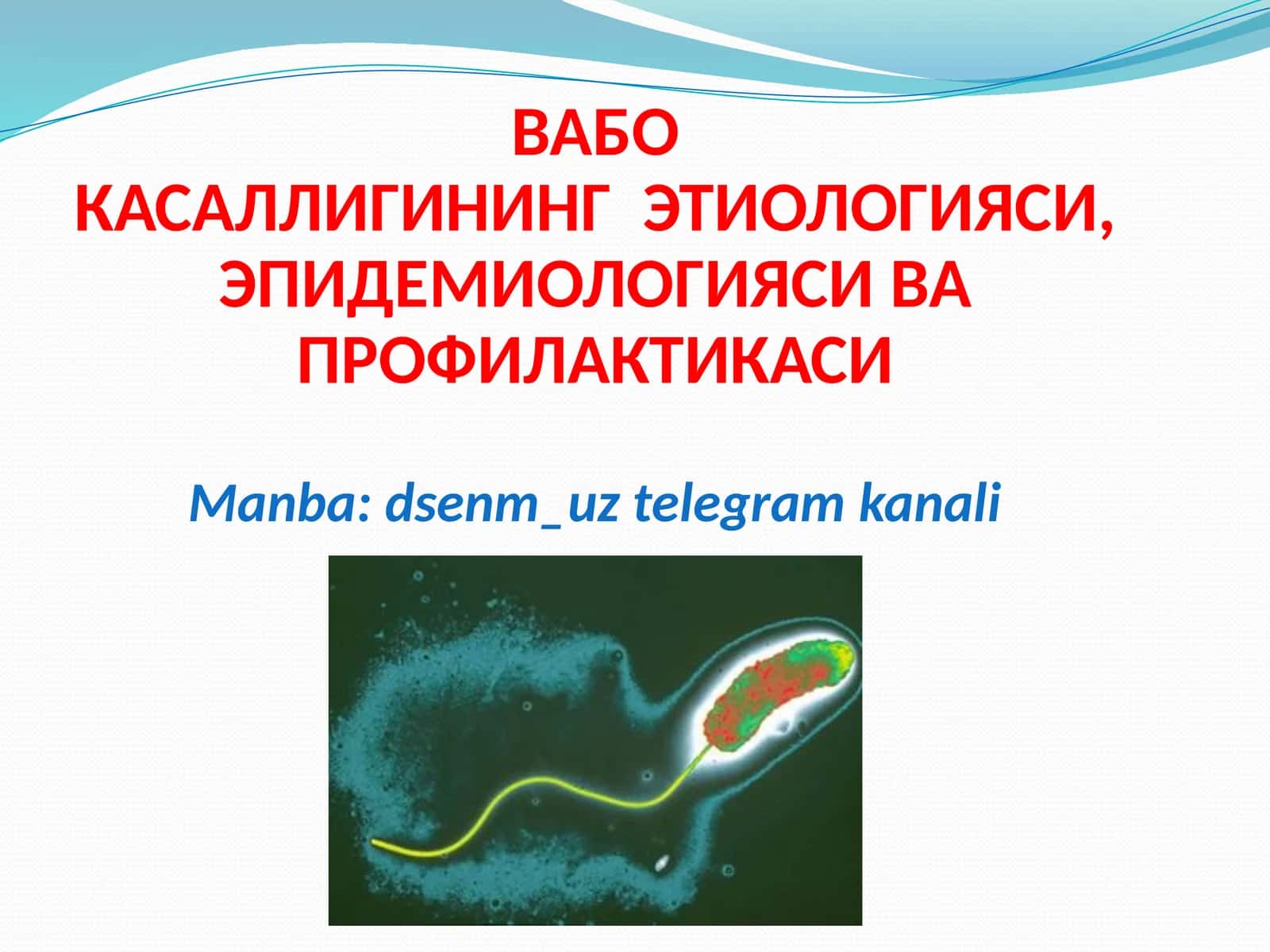 ВАБОКАСАЛЛИГИНИНГ ЭТИОЛОГИЯСИ, ЭПИДЕМИОЛОГИЯСИ ВАПРОФИЛАКТИКАСИ