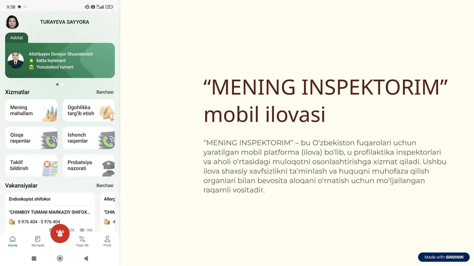 MENING INSPEKTORIM