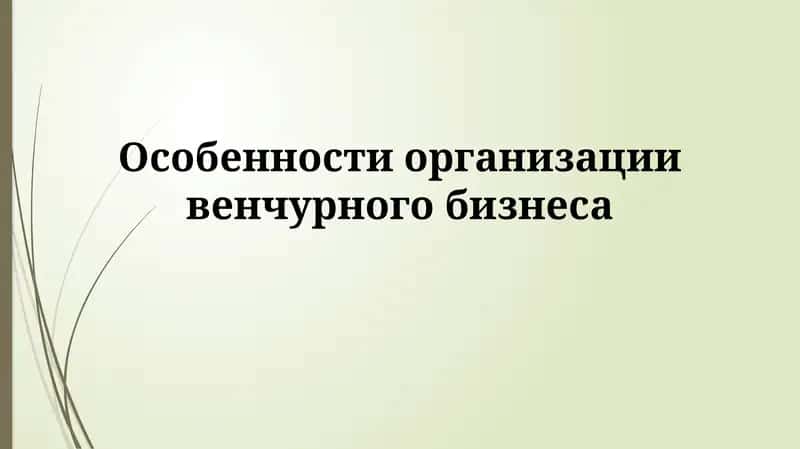 Особенности организации венчурного бизнеса