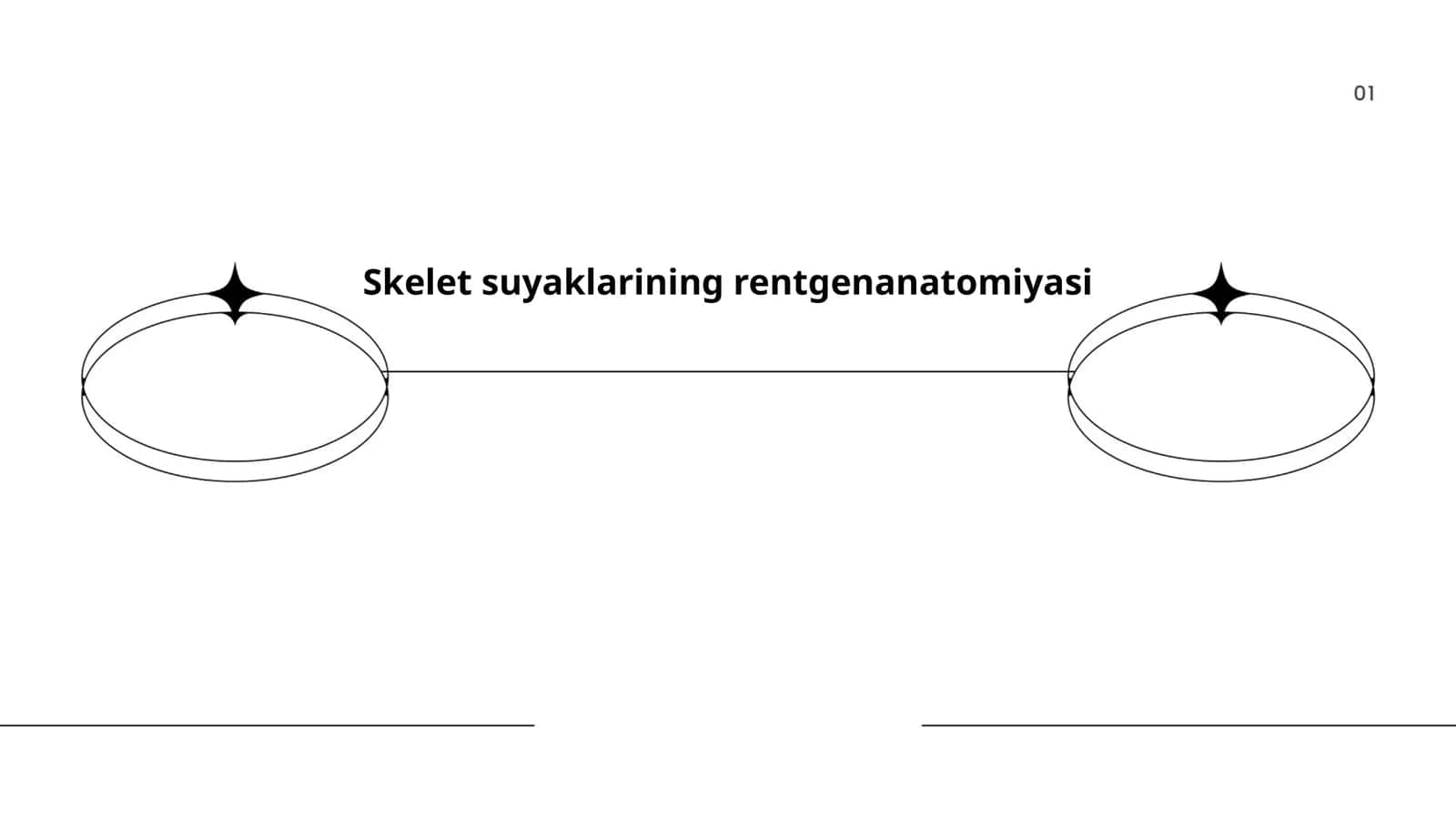 Skelet suyaklarining rentgenanatomiyasi