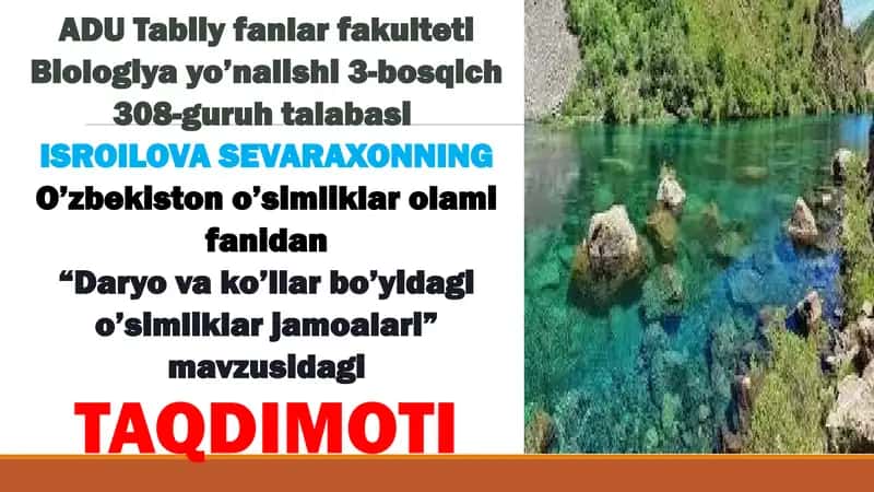 Daryovako’llar bo’yidagi o’simliklar jamoalarining ekologik vazifalari