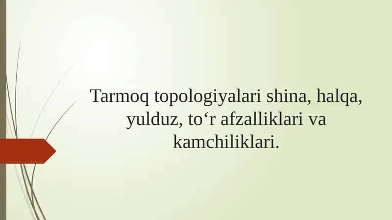Tarmoq topologiyalari shina, halqa, yulduz, to‘r afzalliklari va kamchiliklari.