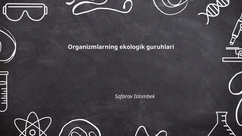 Produserlar (avtotrof organizmlar)