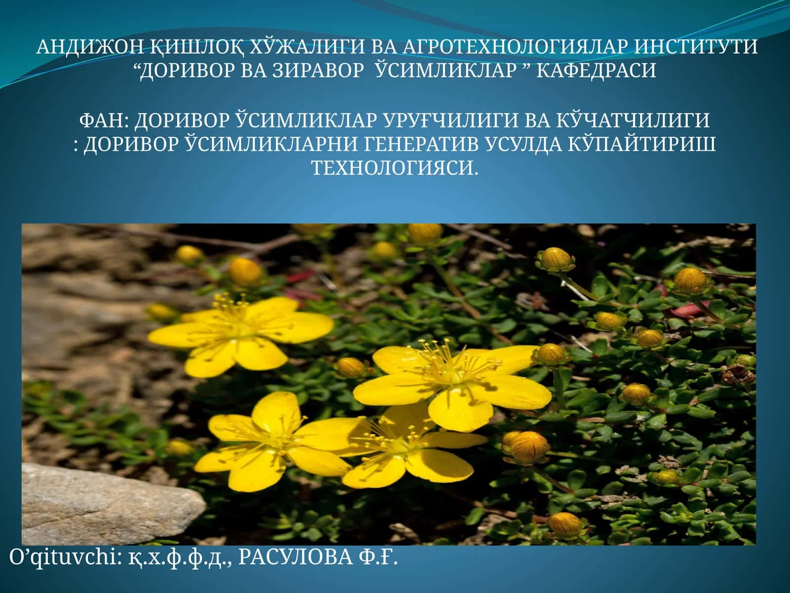 ДОРИВОР ЎСИМЛИКЛАР УРУҒЧИЛИГИ ВА КЎЧАТЧИЛИГИ: ДОРИВОР ЎСИМЛИКЛАРНИ ГЕНЕРАТИВ УСУЛДА КЎПАЙТИРИШ ТЕХНОЛОГИЯСИ