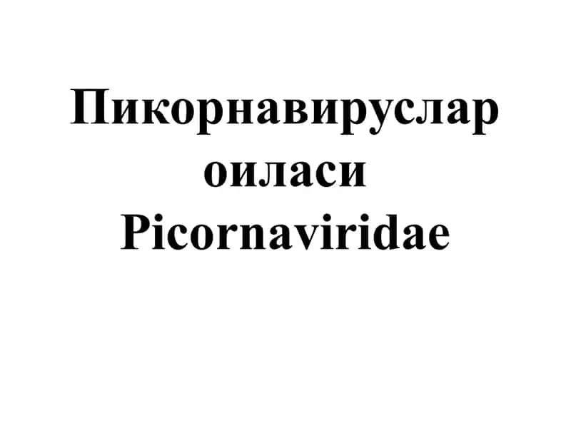 Пикорнавируслар оиласиPicornaviridae