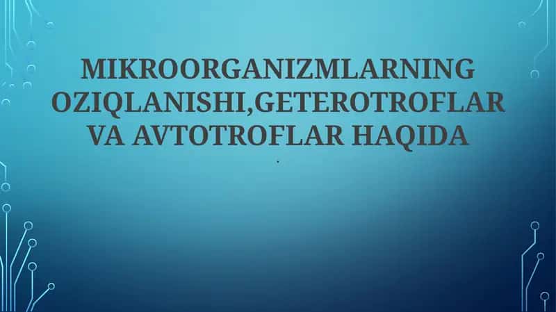 Geterotrof va Avtotroflarning Ekologik Rollari