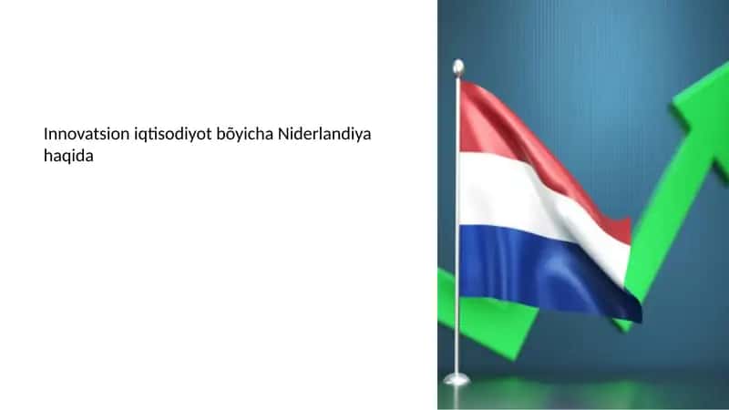 Niderlandiya innovatsion iqtisodiyot bo'yicha resurslar