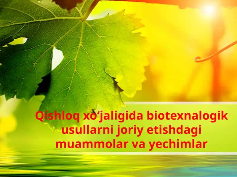 Qishloqxo‘jalik biotexnologiyasi