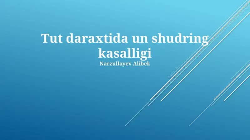 Tut daraxtida un shudring kasalligi