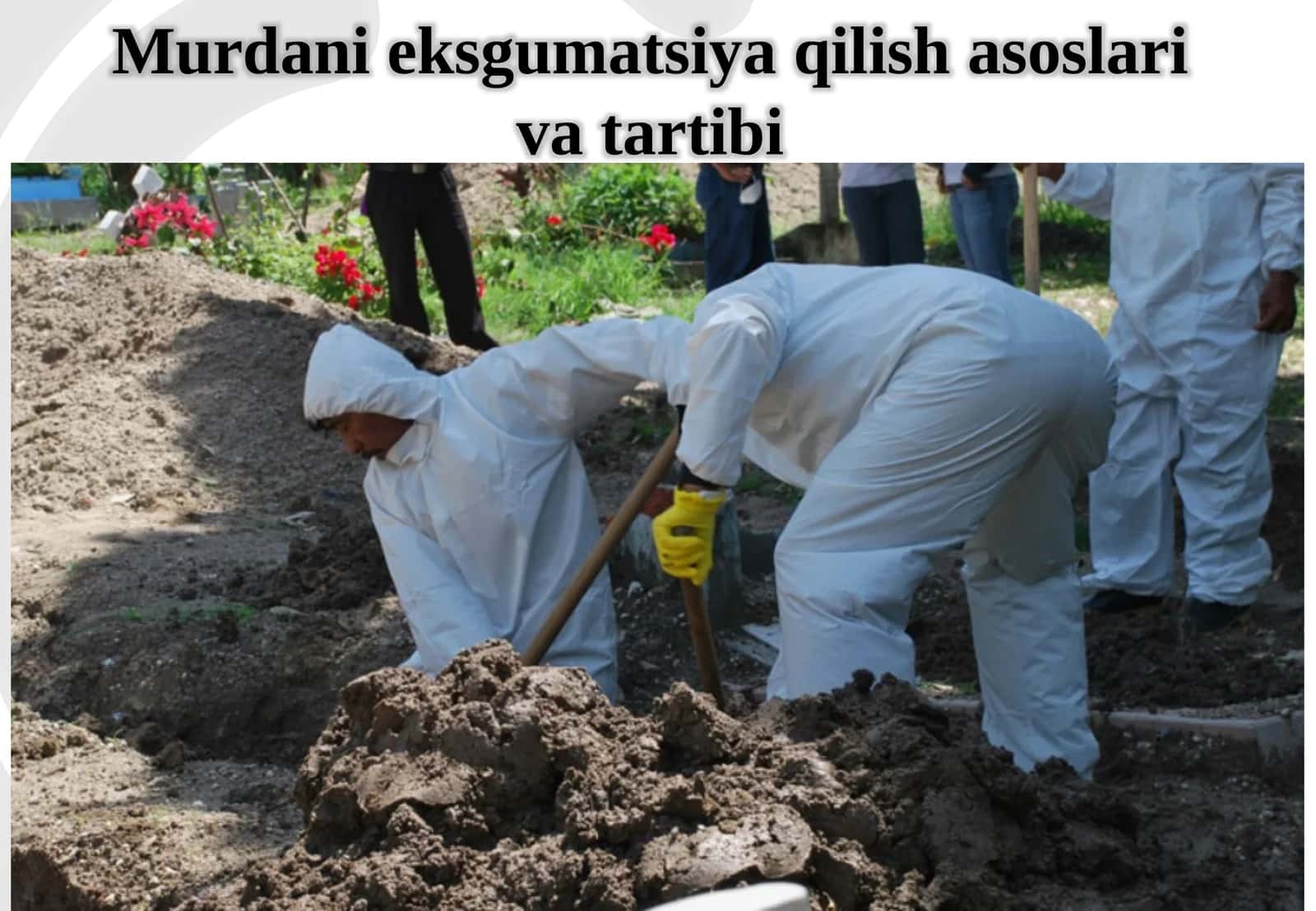 Murdanieksgumatsiyaqilishasoslarivatartibi