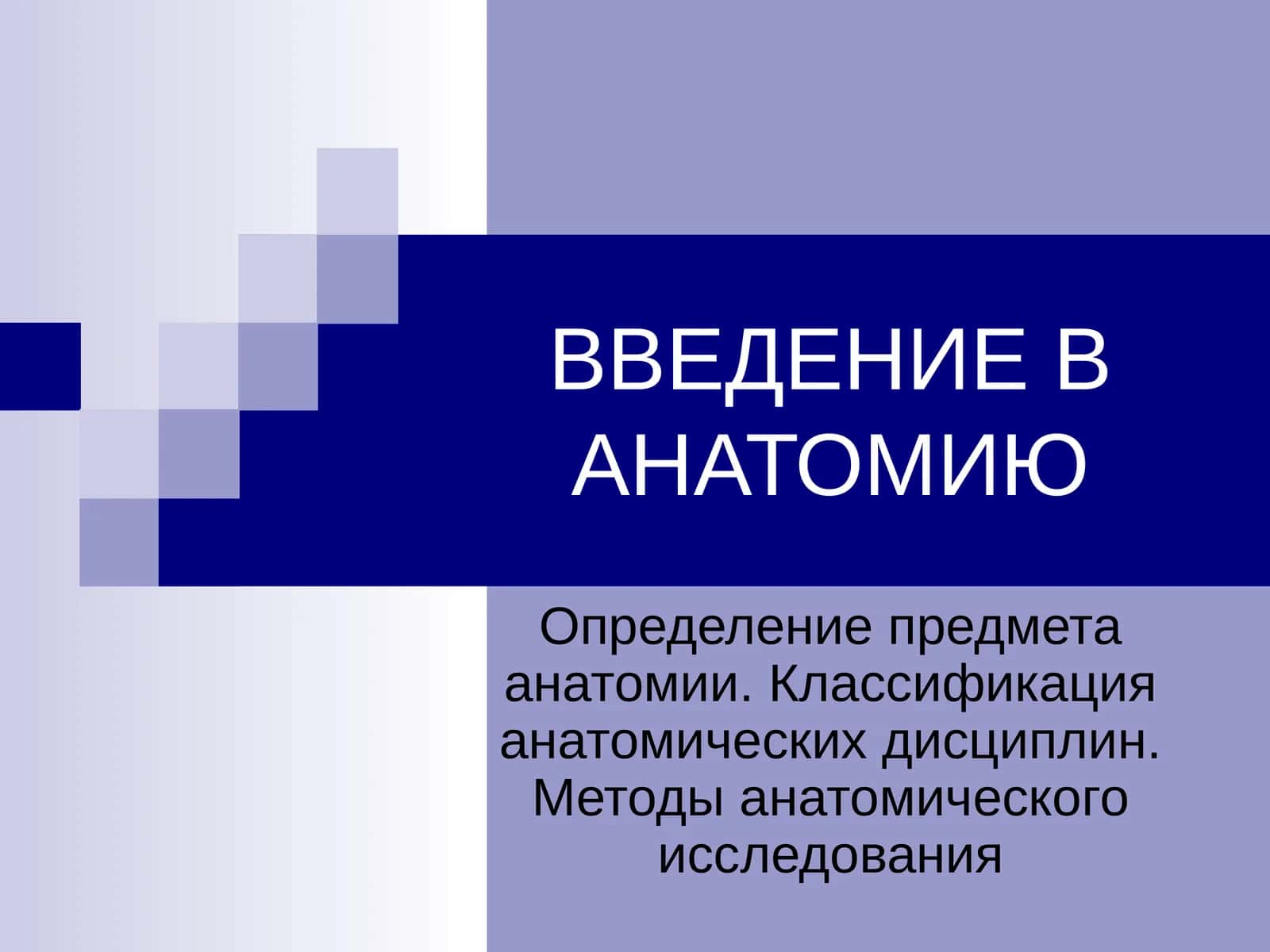 АНАТОМИЯ