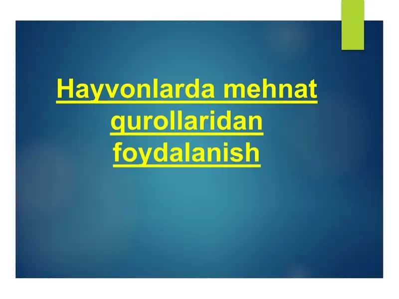Hayvonlarda Mehnat Qurollaridan Foydalanish