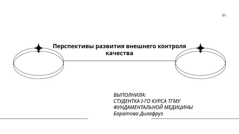 Перспективы развития внешнего контроля качества