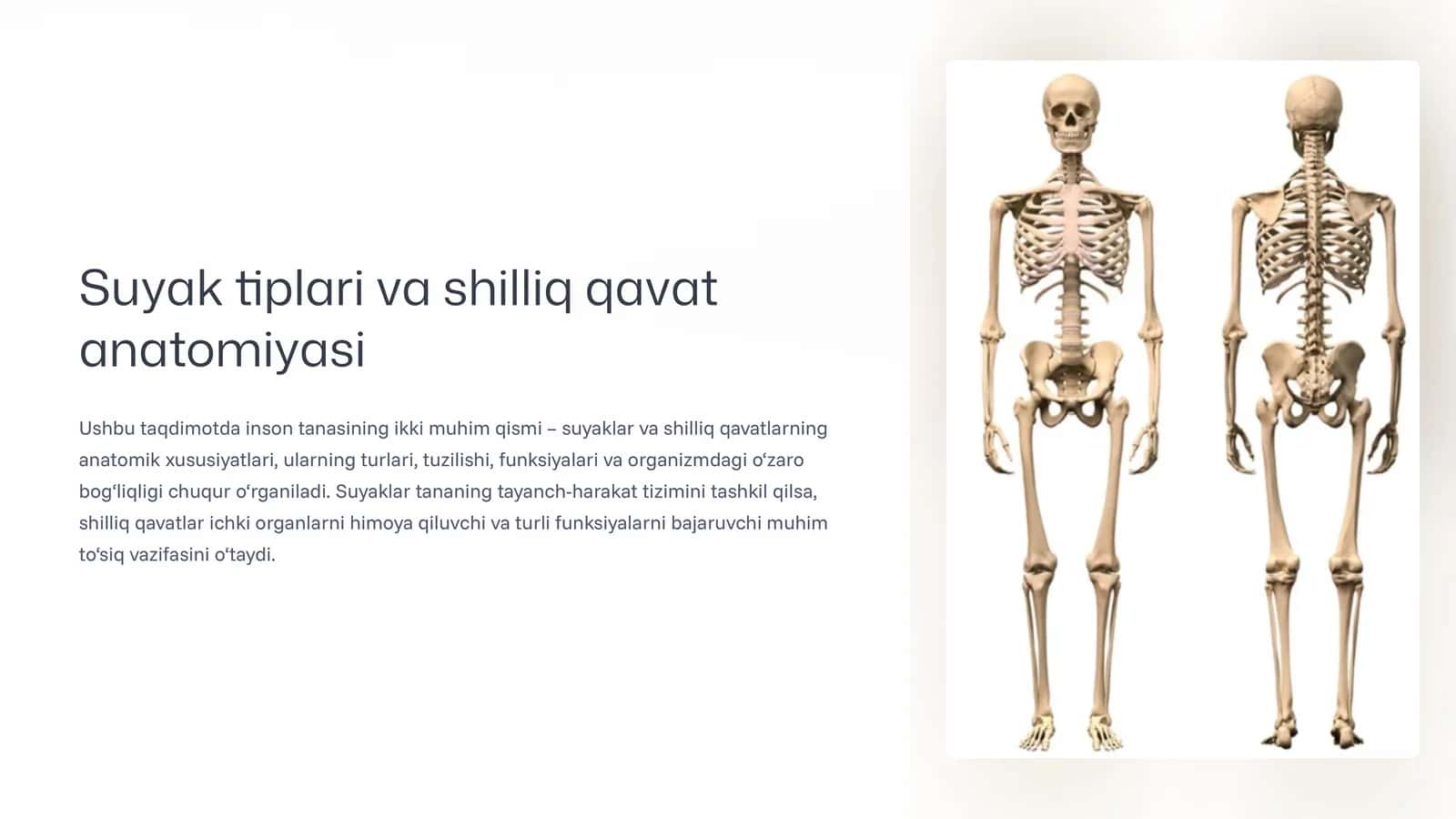 Suyak tiplari va shilliq qavat anatomiyasi